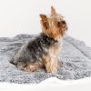 Clearance Cozy Companion Dog Blanket Accessories